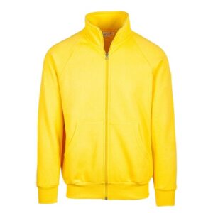 Felpa con Zip Girocollo Premium F3300_I